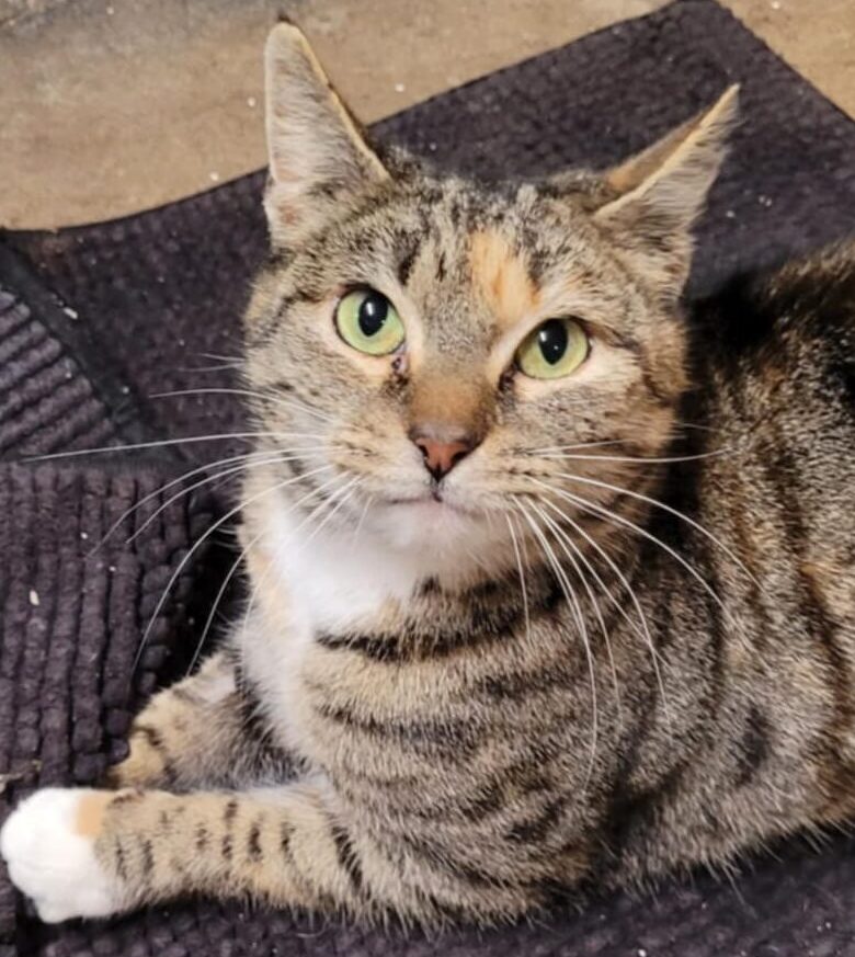 91f31903-55f6-4231-be11-701d3769d6f3