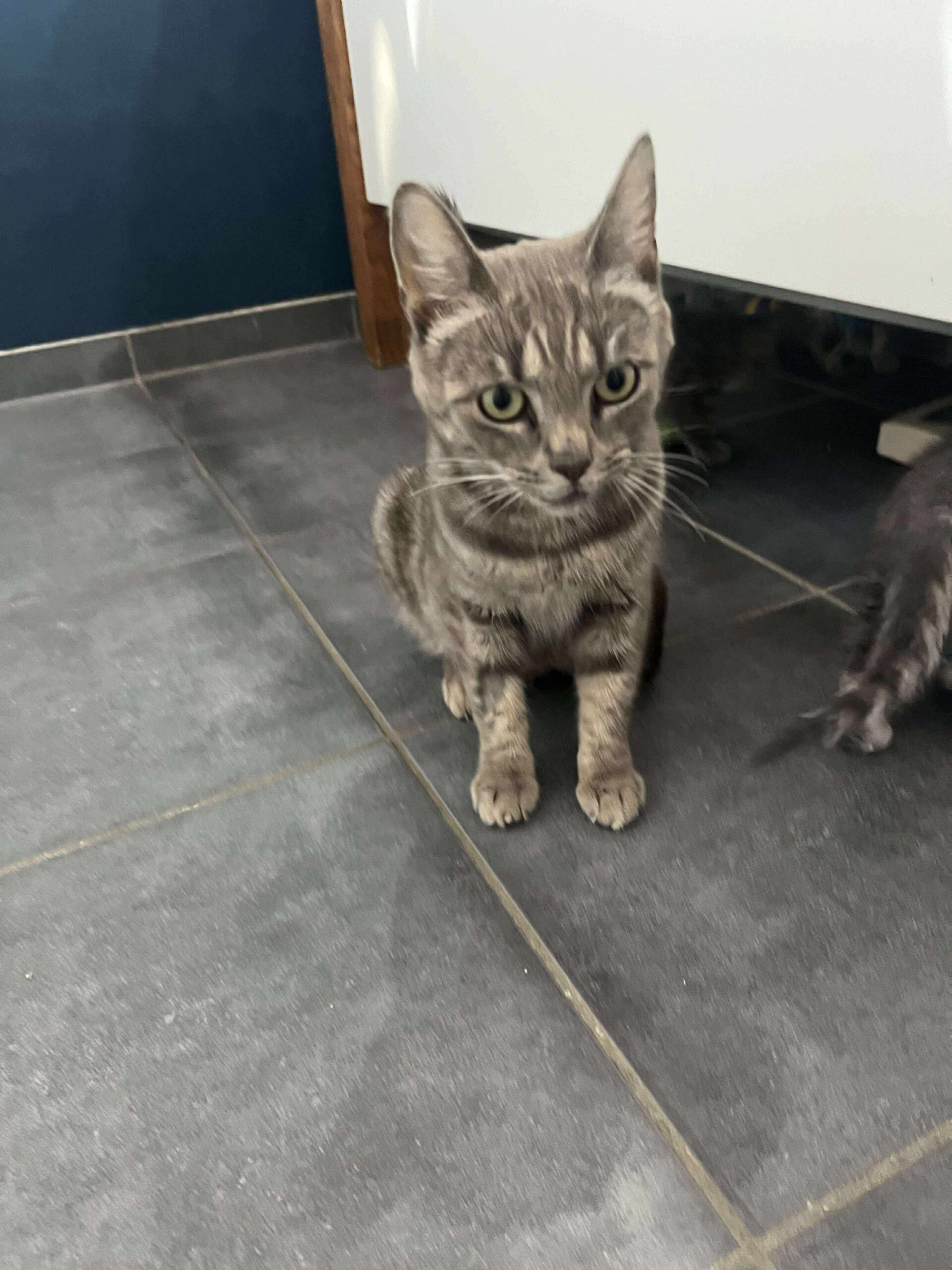 Billede 05.11.2025, 22.00.49 (3)